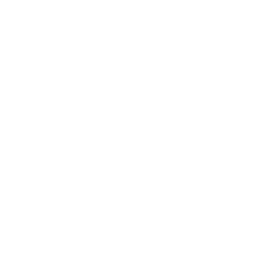 Agencias Navieras Rannik
